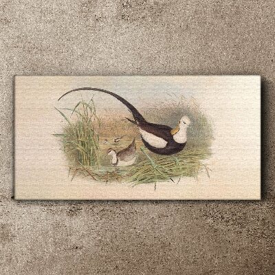 Birds in the grass Canvas print