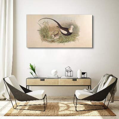 Birds in the grass Canvas print