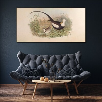 Birds in the grass Canvas print