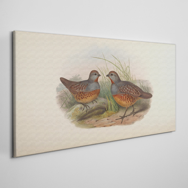 Winged meeting in the grass Canvas print