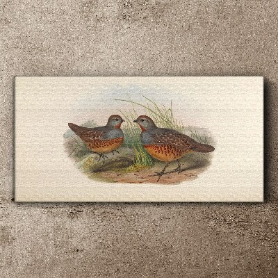Winged meeting in the grass Canvas print