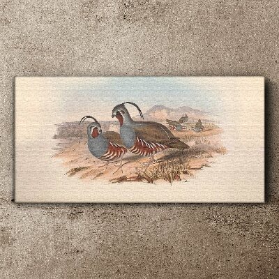 Birds in the landscape Canvas print