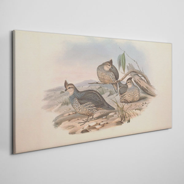 Peaceful bird life on the beach Canvas print