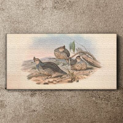Peaceful bird life on the beach Canvas print
