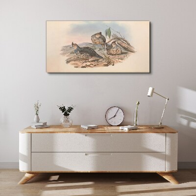 Peaceful bird life on the beach Canvas print