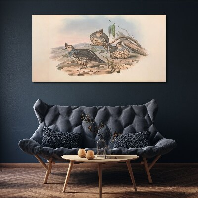 Birds animals figure Canvas print