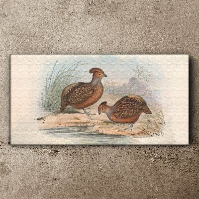 A peaceful landscape with birds Canvas print