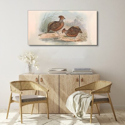 Birds animals Canvas print