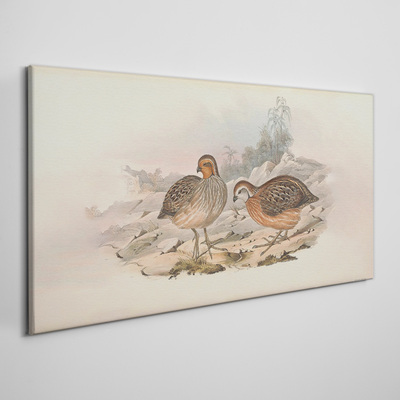 A pair of birds on a delicate background Canvas print