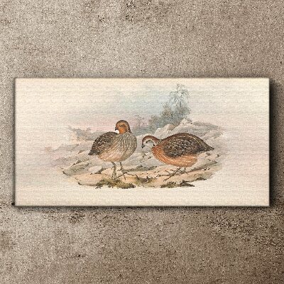 A pair of birds on a delicate background Canvas print