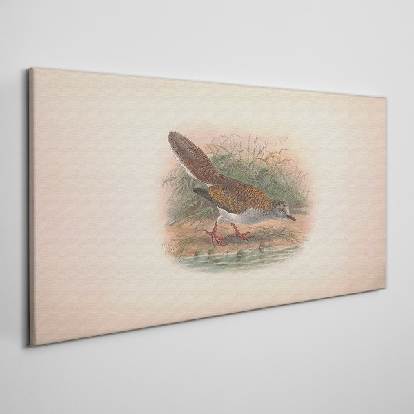A bird above the water Canvas print