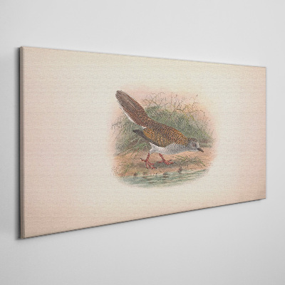 A bird above the water Canvas print