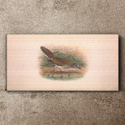 A bird above the water Canvas print