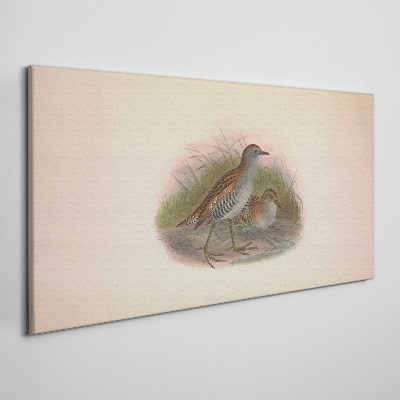 Birds in the grass Canvas print