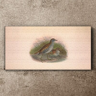 Birds in the grass Canvas print