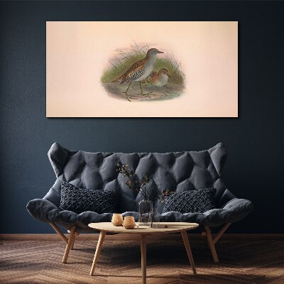 Birds animals Canvas print