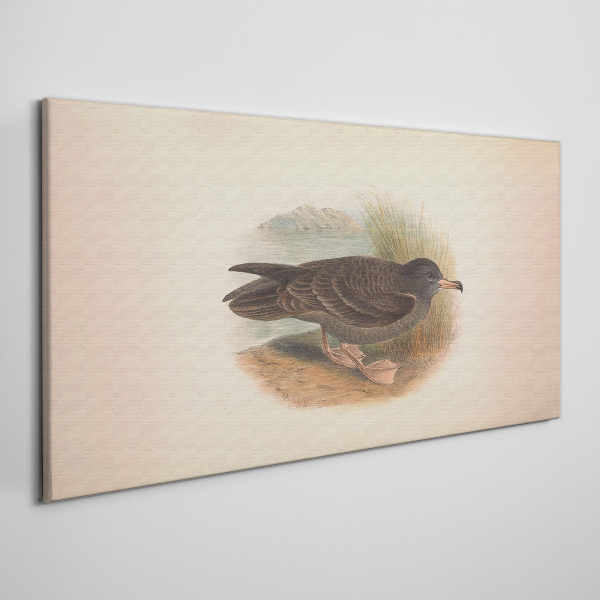 A bird on the water's edge Canvas print