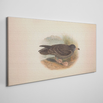 A bird on the water's edge Canvas print