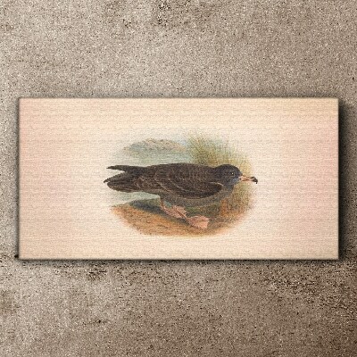 A bird on the water's edge Canvas print