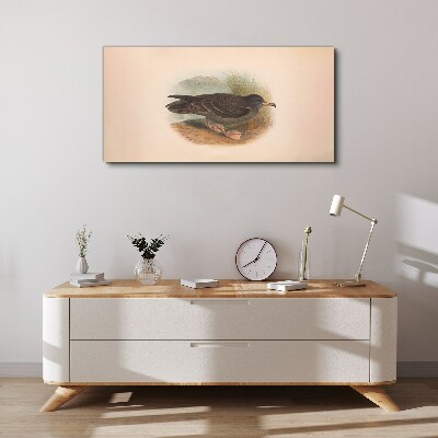 A bird on the water's edge Canvas print