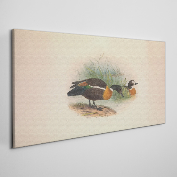 Two ducks in the grass Canvas print