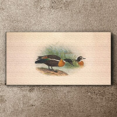 Two ducks in the grass Canvas print