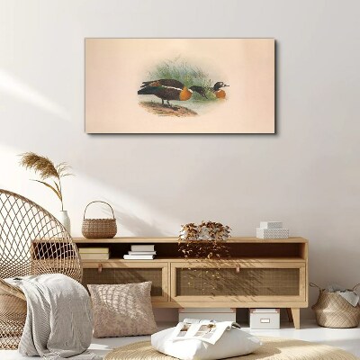 Two ducks in the grass Canvas print