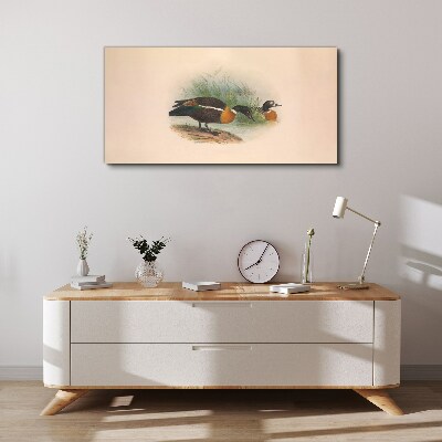Two ducks in the grass Canvas print