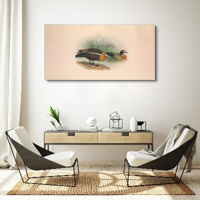 Animals birds beige Canvas print