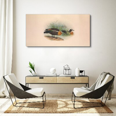 Two ducks in the grass Canvas print