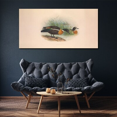 Animals birds beige Canvas print