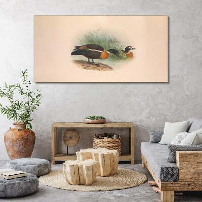 Two ducks in the grass Canvas print