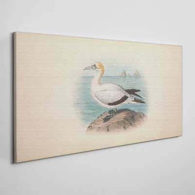 Sea bird in the water Canvas print
