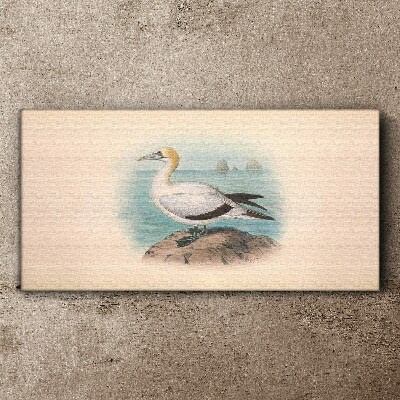 Sea bird in the water Canvas print