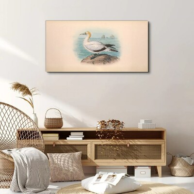 Sea bird in the water Canvas print