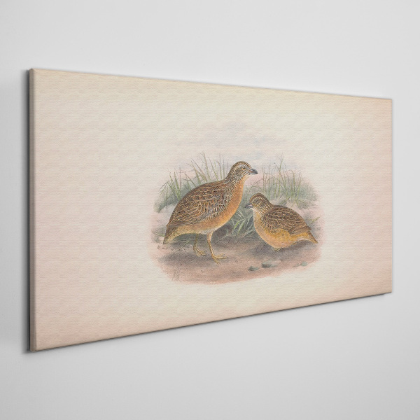 Two birds in the grass Canvas print