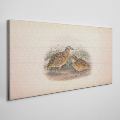Two birds in the grass Canvas print