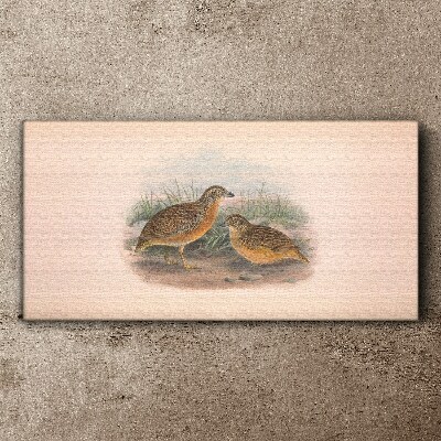 Two birds in the grass Canvas print