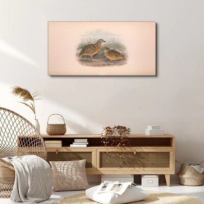 Two birds in the grass Canvas print