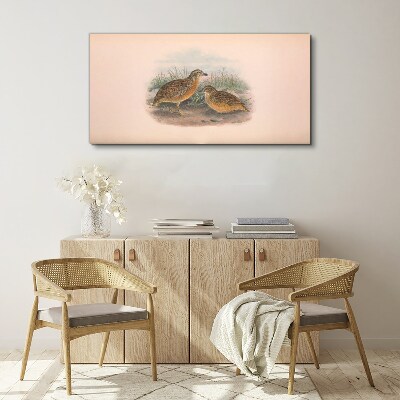 Two birds in the grass Canvas print