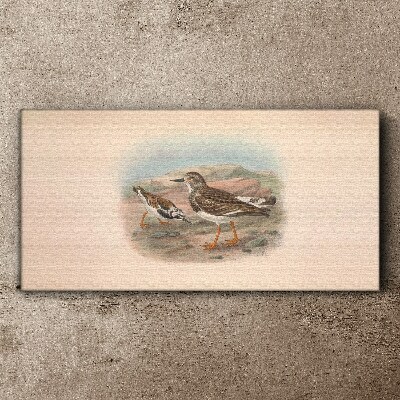 Birds in a desert landscape Canvas print