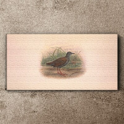Fisherman in the grass Canvas print