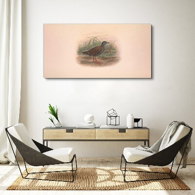 Birds animals figure Canvas print