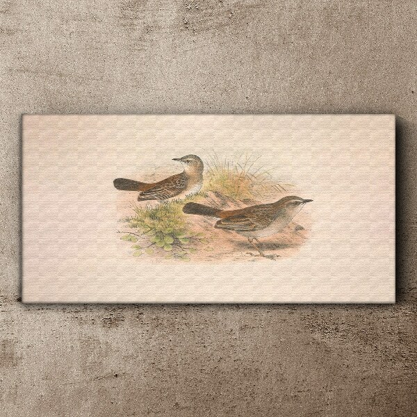 Birds in a natural background Canvas print