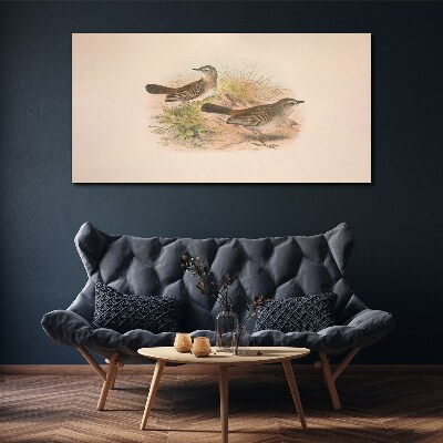 Animals birds beige Canvas print