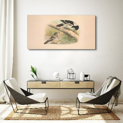 Birds animals Canvas print