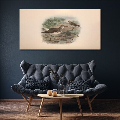 Birds animals Canvas print