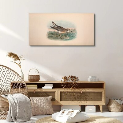 Bird drawing Canvas print