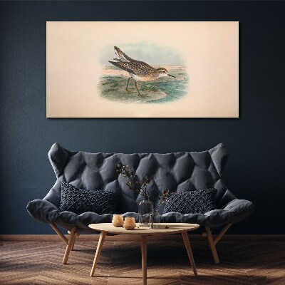 Bird drawing Canvas print