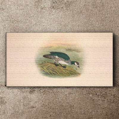 Bird on a water background Canvas print